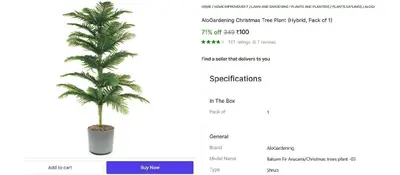 AloGardening Christmas Tree Plant @ ₹100